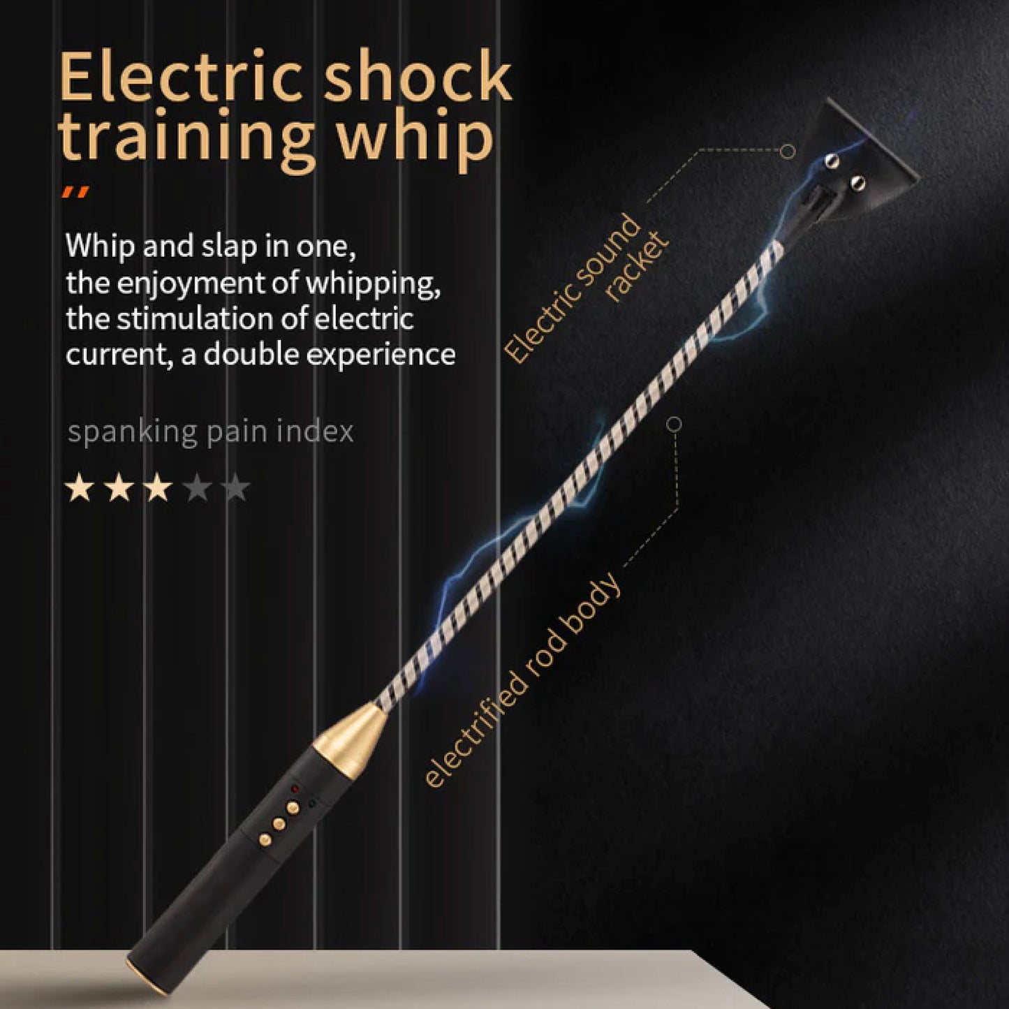 Electric Shock – Electric Shock Training Whip