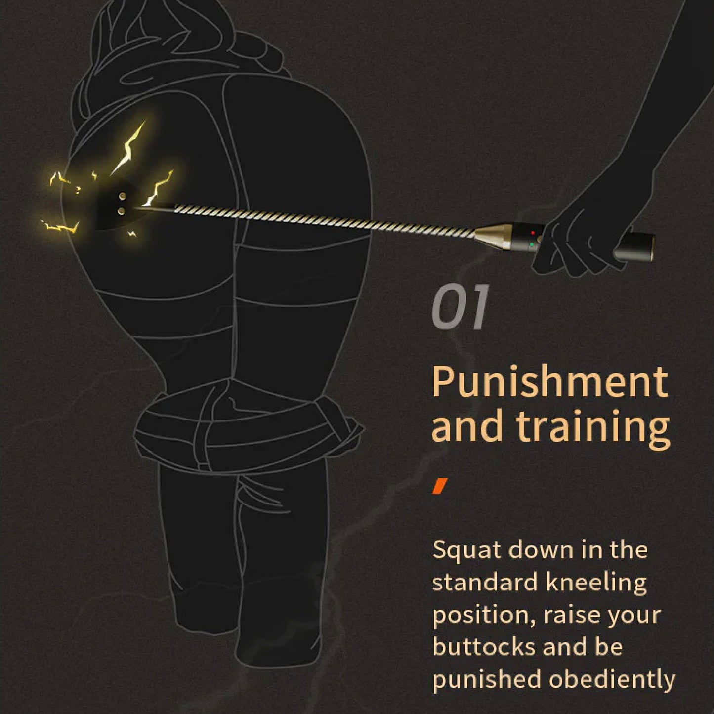 Electric Shock – Electric Shock Training Whip