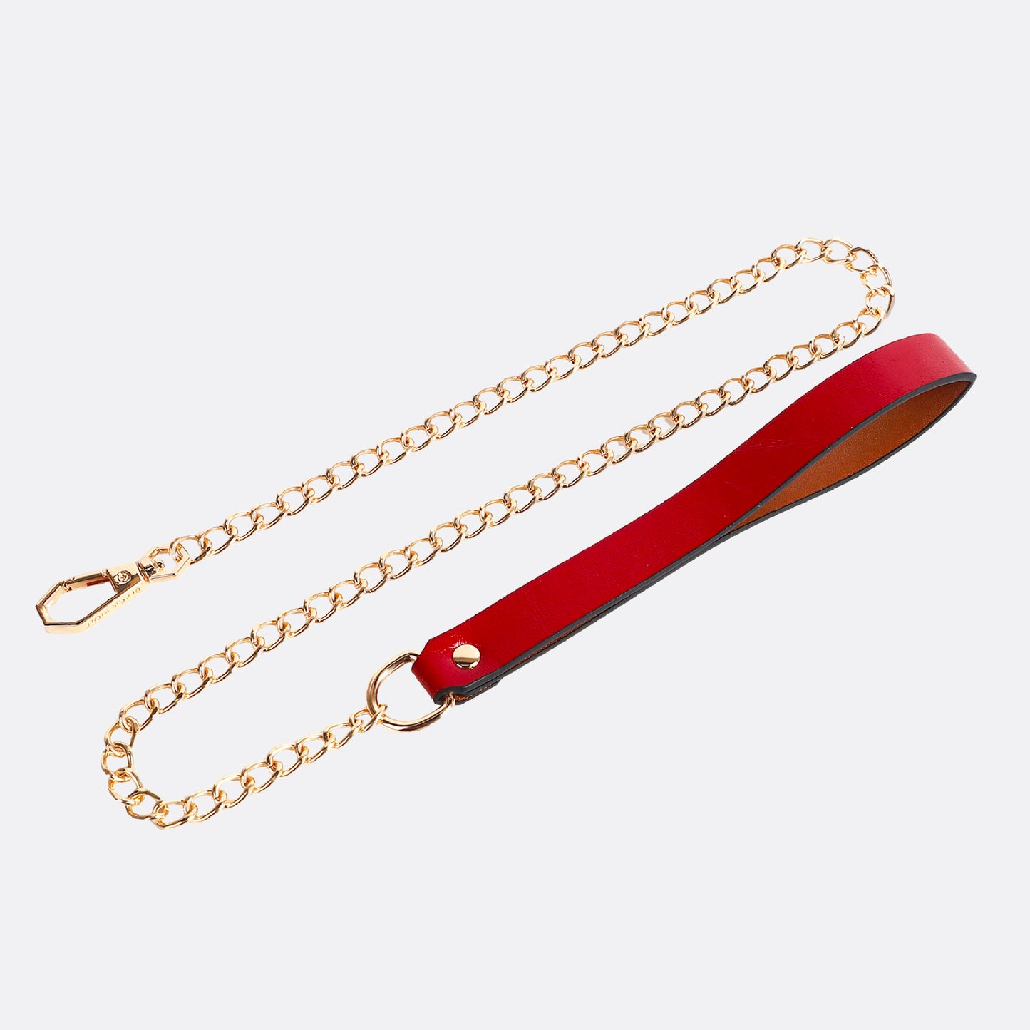 Elegant Chain Leash with Grip