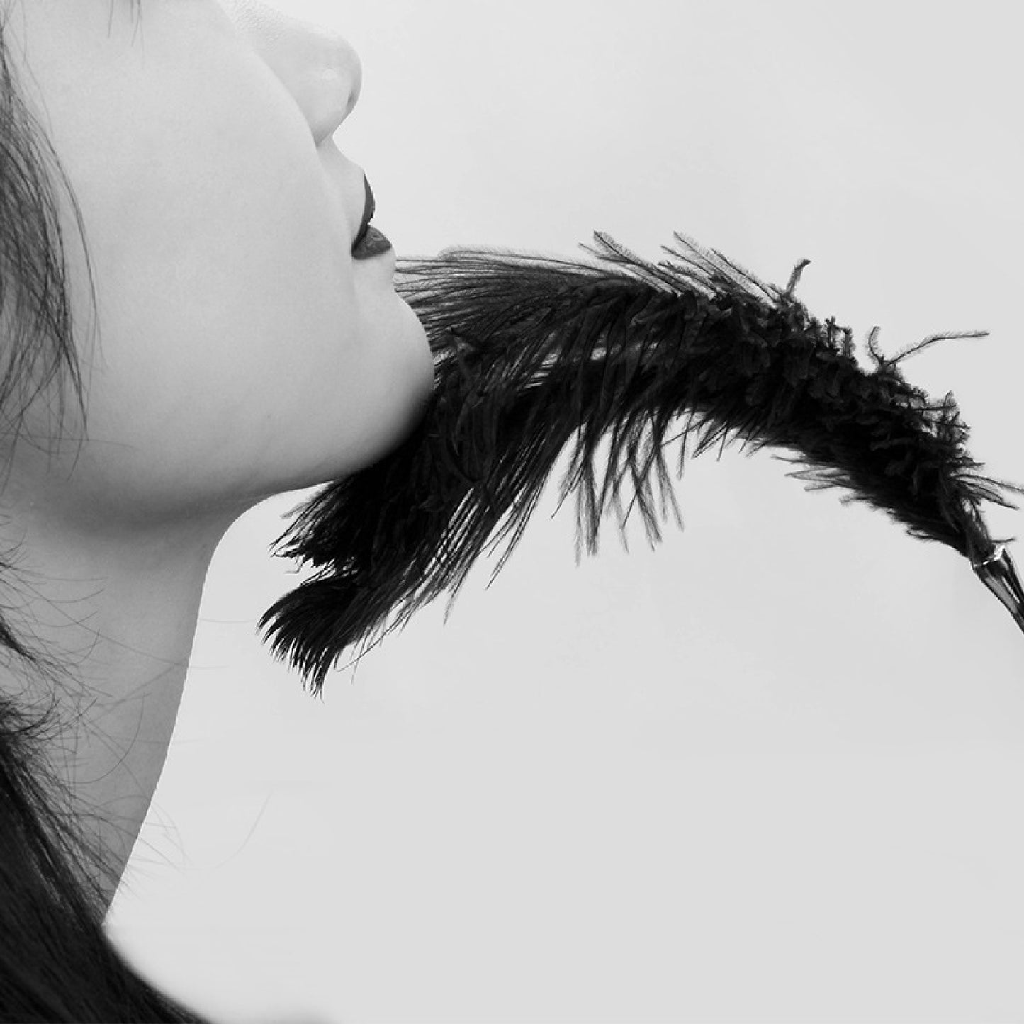 Whisper Feather