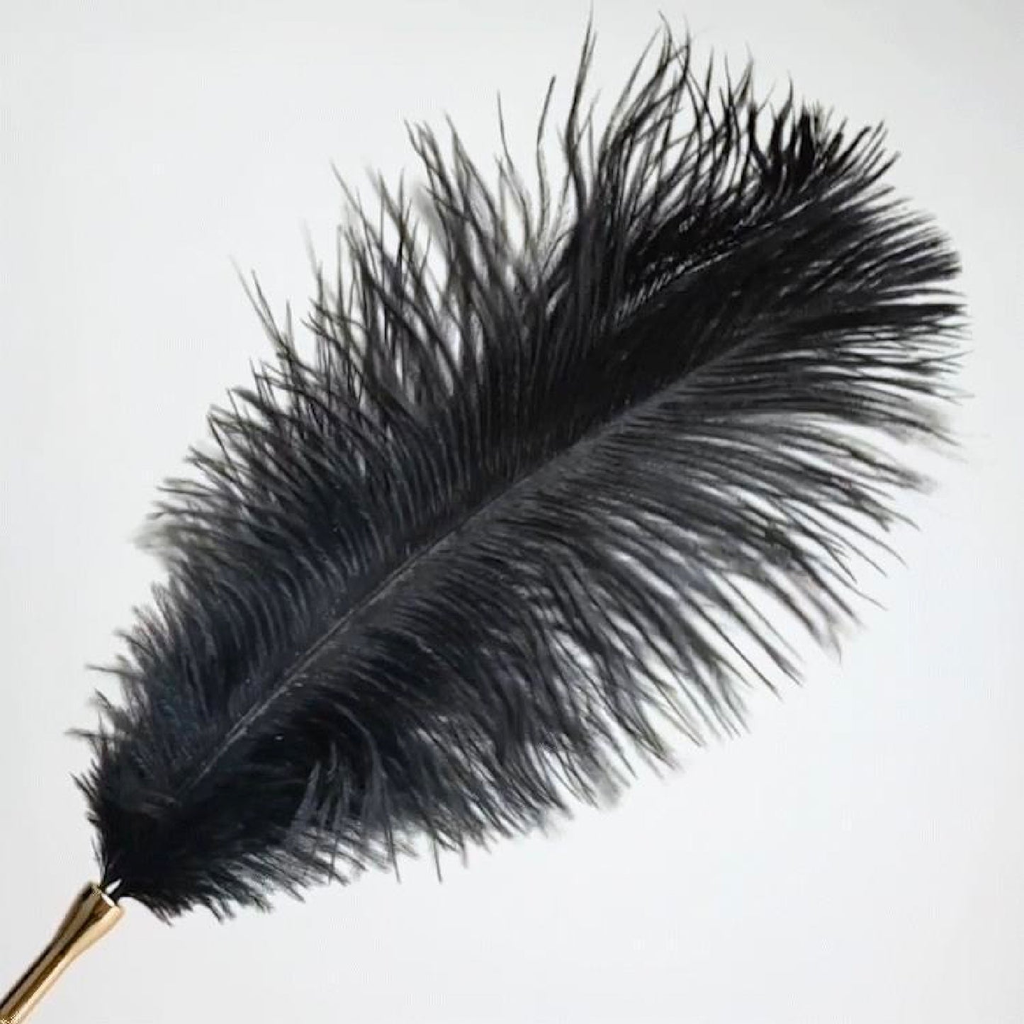 Whisper Feather