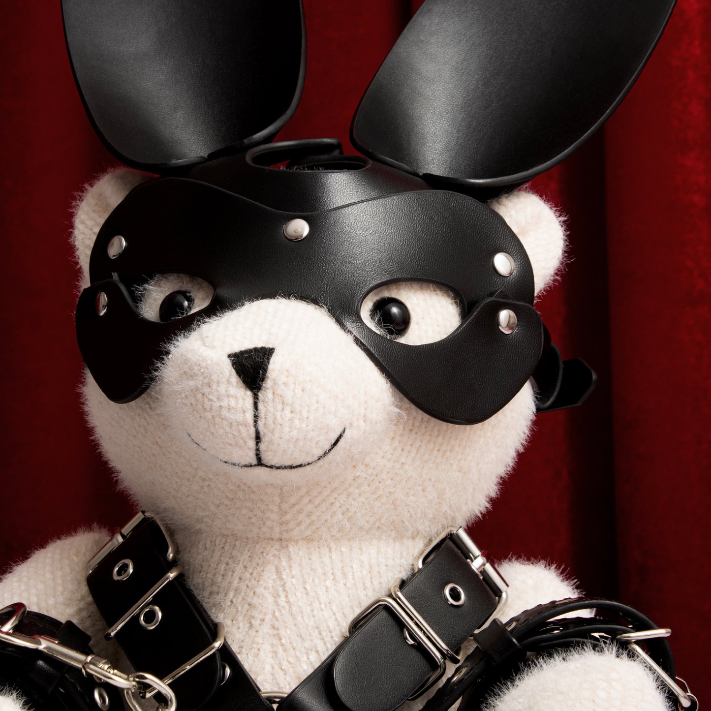 TheBesBear Model Bunny