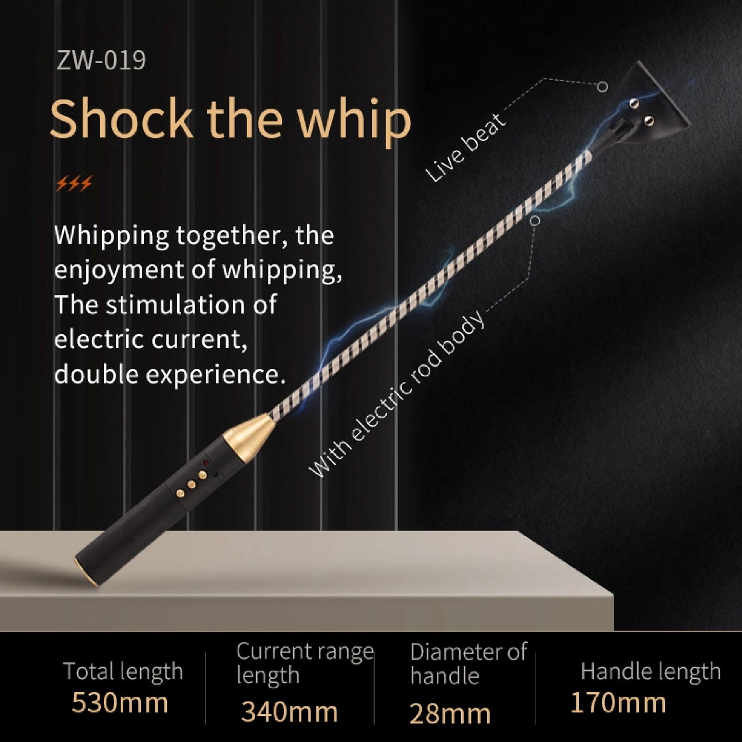 Electric Shock – Electric Shock Training Whip