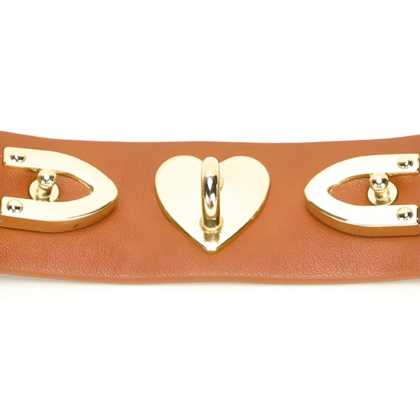 Golden Brown BDSM Set